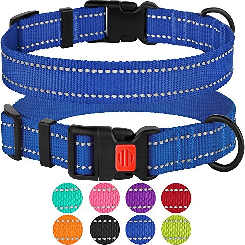 Product Cover CollarDirect Reflective Dog Collar, Safety Nylon Collars for Dogs with Buckle, Outdoor Adjustable Puppy Collar Small Medium Large (Neck Fit 18