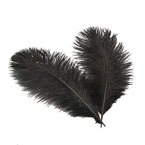 Product Cover Sowder 6-8inch(15-20cm) Ostrich Feathers Plume for Wedding Centerpieces Home Decoration Pack of 10pcs(Black)