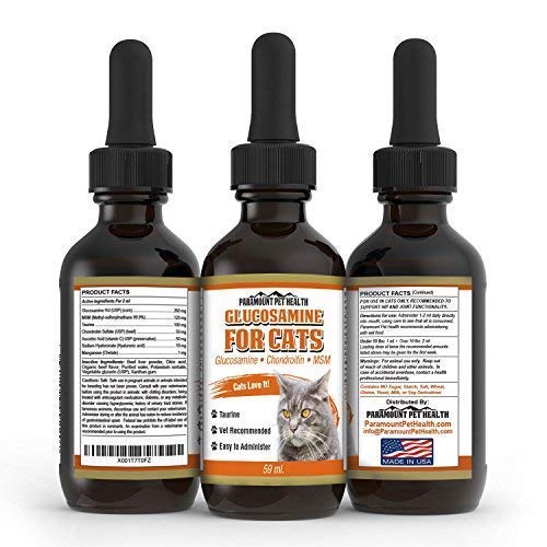 Product Cover Paramount Pet Health 100% Natural Glucosamine for Cats - Msm Arthritis Pain Relief for Cats - Cat Hip and Joint Supplement Liquid - 260mg Glucosamine Chondroitin for Cats