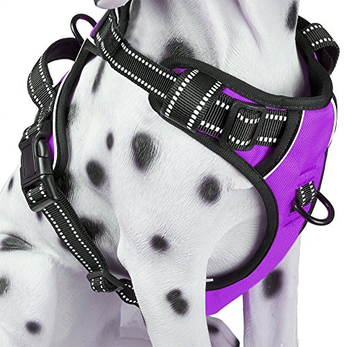 Product Cover PoyPet No Pull Dog Harness, Reflective Vest Harness with Front and Back 2 Leash Attachments and Easy Control Handle for Small Medium Large Dog ( Purple , Medium)