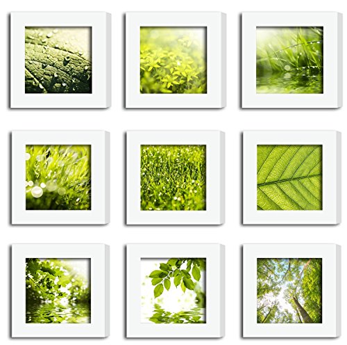 Product Cover XUFLY 9Pcs 4x4 Real Glass Wood Frame White Square, Fit Family Image Pictures Photo (Window 3.6x3.6 inch), Desktop Stand On Wall Family Combine Leaves Flower Green Decoration (10 Set Pictures) (19)