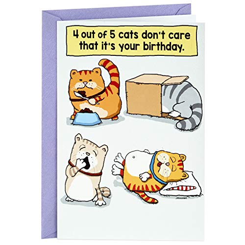 Product Cover Hallmark Shoebox Funny Birthday Card (Cats Don't Care That It's Your Birthday)