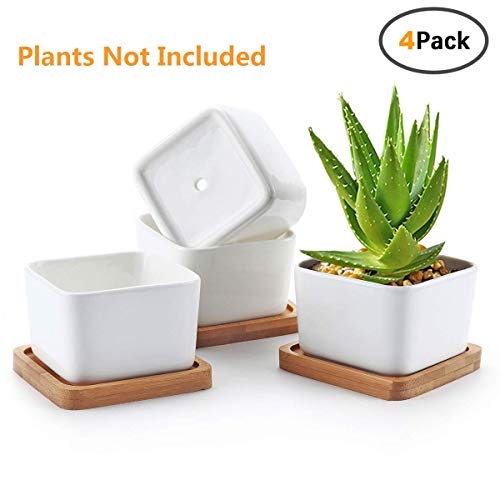 Product Cover Succulent Pots,OAMCEG 3.54 inch Square Design for Succulent/Cactus,Set of 4 White Ceramic Succulent Cactus Planter Pots with Bamboo Tray(Plants NOT Included)
