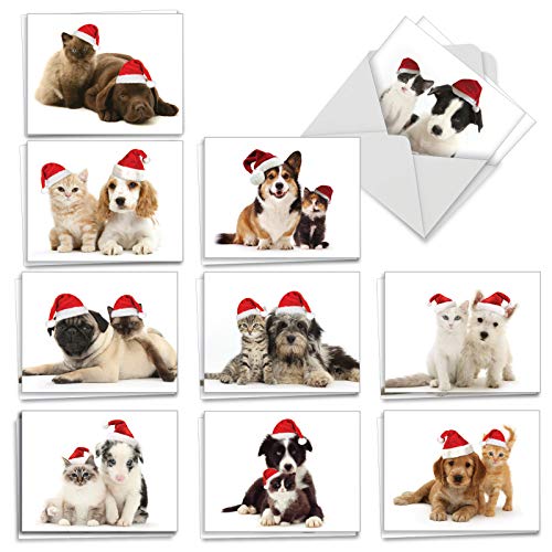Product Cover Christmas Copy Cats - 20 Adorable Blank Merry Christmas Cards with Envelopes (4 x 5.12 Inch) - Pet Animals, Assorted Holiday Dogs and Cats in Santa Hats (10 Designs, 2 Cards Each) AM6596XSB-B2x10