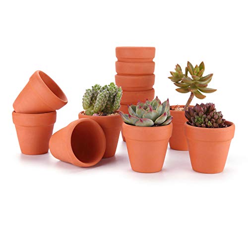 Product Cover T4U 3 Inch Terracotta Clay Pots Pack of 12 - Mini Hand Craft Nursery Plant Pot Succulent Cactus DIY Pottery Planter Home Garden Windowsill Decoration Christmas Gift