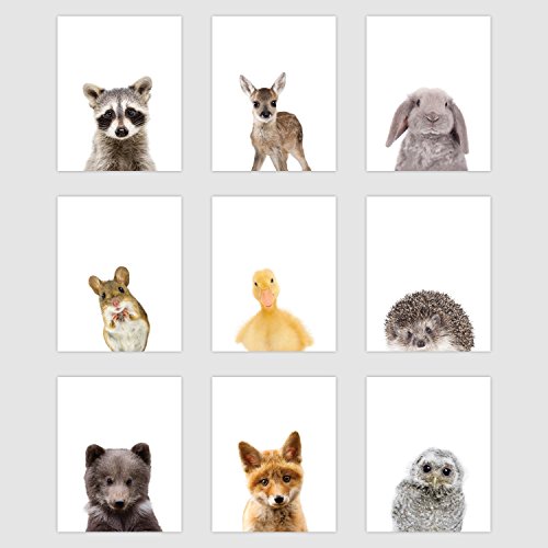 Product Cover Palace Learning Set of 9 Woodland Animal Poster Prints - Cute Baby Forest Animal Wall Art - Nursery Room Decor (8