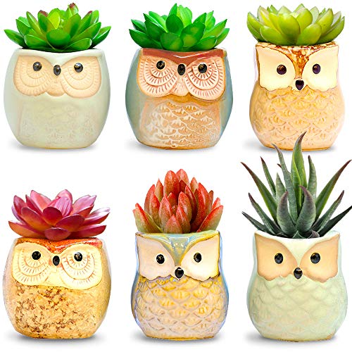 Product Cover Amaze Owl Assorted Artificial Succulent Plants and Owl Planters | Set Of 6 Mini Faux Plants and Ceramic Pots | Indoor Office Table Decorations| Housewarming Ideas| Living Room Table Shelf Desk Decor