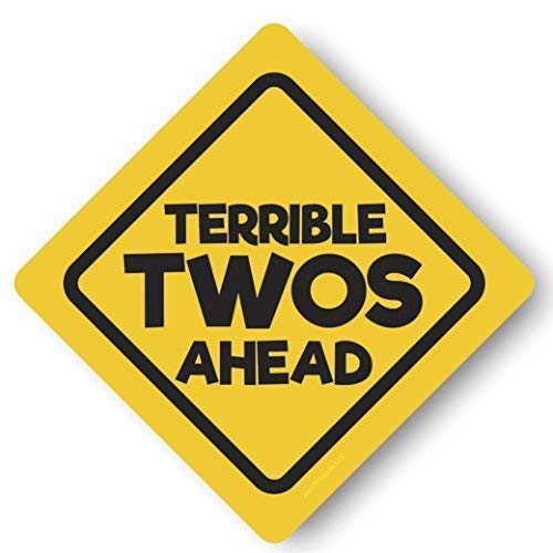 Product Cover Jayd Products, Terrible Twos Ahead Construction Birthday Caution Signs, X-Large