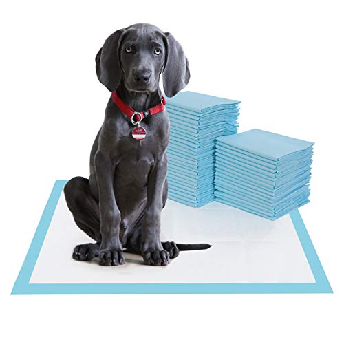 Product Cover BESTLE Large Pet Training and Puppy Pads Pee Pad for Dogs 24
