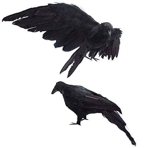 Product Cover 2-Pack Realistic Crows Lifesize Extra Large Handmade Black Feathered Crow for Halloween Decorations Birds, L (13 inch+12 inch)