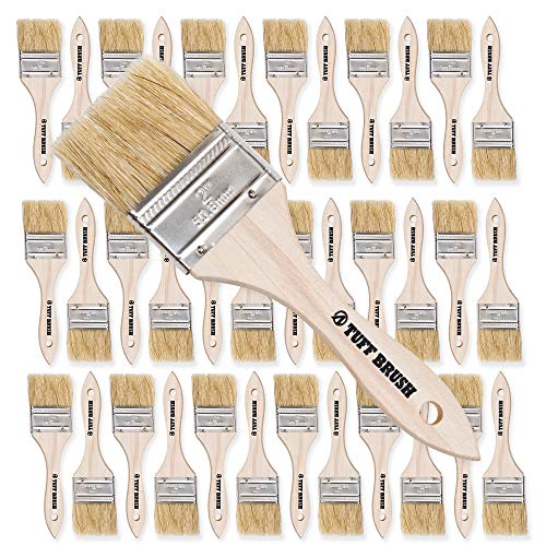 Product Cover TUFF BRUSH - 50 Pack of 2 inch Chip Brushes for Paint, Stains, Varnishes, Glues, Resins, and Gesso