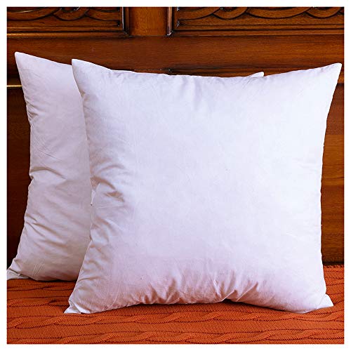 Product Cover DOWNIGHT Two Pillow Inserts, Down and Feather Throw Pillow Insert, The Fabric is Cotton, Decorative Throw Pillows Insert, 26 X 26 Inch