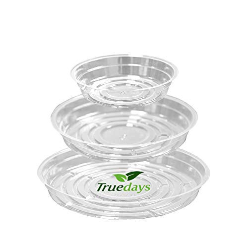 Product Cover TRUEDAYS 15 Pack(6 inch/8inch/10inch) Clear Plant Saucers Flower Pot Tray Excellent for Indoor & Outdoor Plants