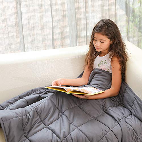 Product Cover Fabula Life 12lbs Weighted Blanket for Kids or Adults, Premium Cotton Heavy Blanket with Glass Beads for Calm Deep Sleep, Twin Size (72