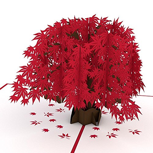 Product Cover Lovepop Japanese Maple Pop Up Card - 3D Card, Greeting Card, Valentines Day Card, Anniversary Cards, Pop Up Birthday Card, Maple Tree Card