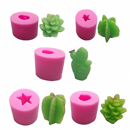 Product Cover MoldFun 5-Pack Cactus and Succulent Plants Silicone Mold for Fondant Chocolate Candy Cake Decorating Candle Soap Lotion Bar Wax Crayon Melt Plaster Polymer Clay