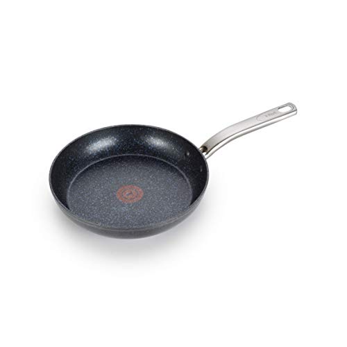 Product Cover T-fal G10405 Heatmaster Nonstick Thermo-Spot Heat Indicator Fry Pan Cookware, 10-Inch, Black - As Seen on TV