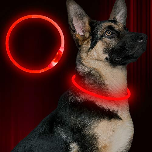 Product Cover Led Dog Collar, USB Rechargeable Flash Dog Necklace Light, Pet Safety Collar Makes Your Beloved Dogs Be Seen at Night for Small Medium Large Dogs