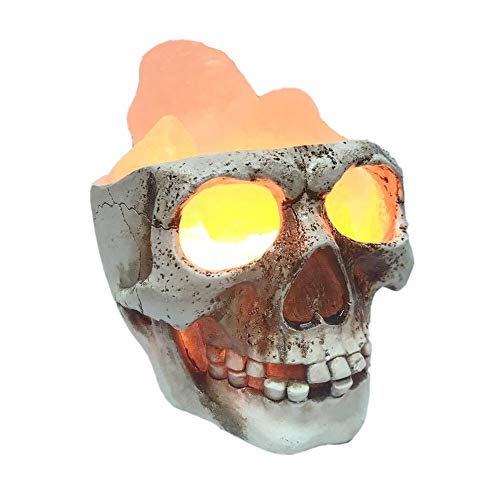Product Cover Lucktao 3D USB Skull Himalayan Salt Lamp, LED Adjustable Skull Lamp with Dimmer Switch,Best Ideal Gift,Holiday Gift Halloween Skull Light