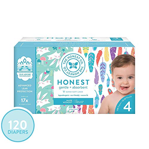 Product Cover The Honest Company Super Club Box Diapers with TrueAbsorb Technology, Painted Feathers & Bunnies, Size 4, 120 Count