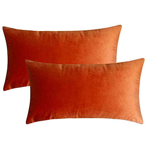 Product Cover Artcest Set of 2, Cozy Solid Velvet Throw Pillow Case, Decorative Couch Cushion Cover, Soft Sofa Euro Sham with Zipper Hidden, 12