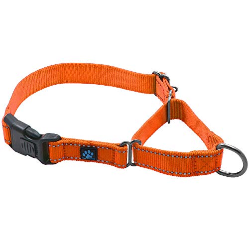 Product Cover Max and Neo Nylon Martingale Collar - We Donate a Collar to a Dog Rescue for Every Collar Sold (Medium, Orange)