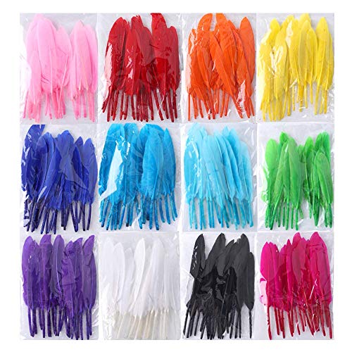 Product Cover Coceca 240pcs Colorful Goose Natural Feathers 4-6 inches Feathers for DIY Crafts