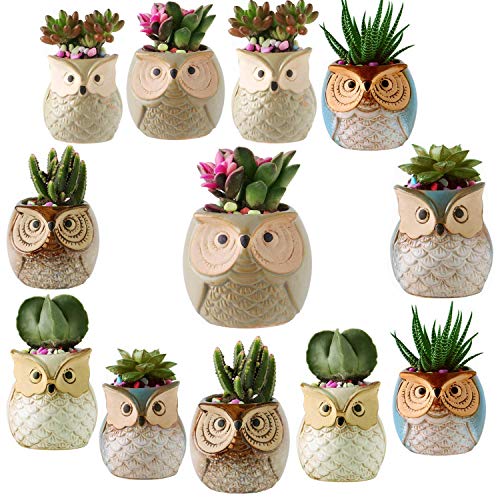 Product Cover 12 Pack 2.5 Inch Owl Succulent Plants Pots Ceramic Set, Cactus Plant Pot,Mini Flower Pot, with A Hole Perfect owl Gifts
