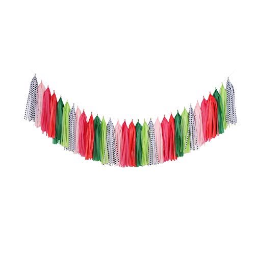 Product Cover Fonder Mols Watermelon Party Tassel Garland DIY Kit Balloon Tail Tassels Melon Birthday Summer Party Decorations(Pack of 30, Coral Fuchsia Green Pink Polka) A24