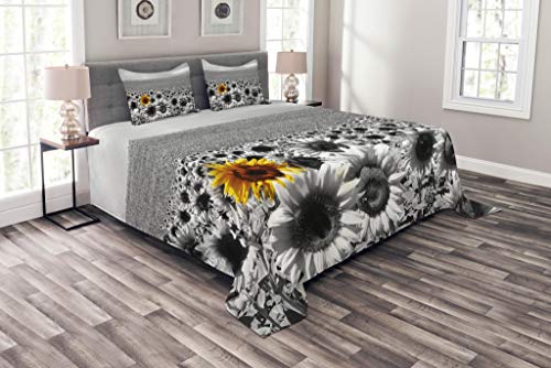 Product Cover Lunarable Modern Bedspread, Sunflower Field Black and White with a Single Yellow Flower Spring Landscape Individuality, Decorative Quilted 3 Piece Coverlet Set with 2 Pillow Shams, King Size, Grey
