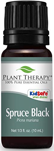 Product Cover Plant Therapy Spruce Black Essential Oil 10 mL (1/3 oz) 100% Pure, Undiluted, Therapeutic Grade