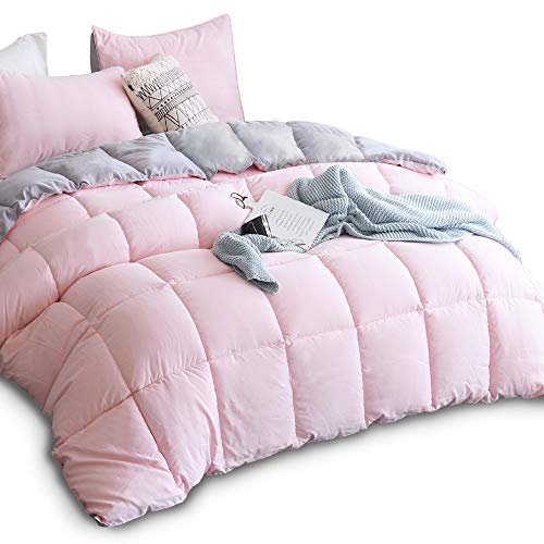Product Cover KASENTEX All All Season Down Down Alternative Quilted Comforter Set with Sham(s) - Reversible Ultra Soft Duvet Insert Hypoallergenic Machine Washable, Queen, Pink Potpourri/Quartz Silver