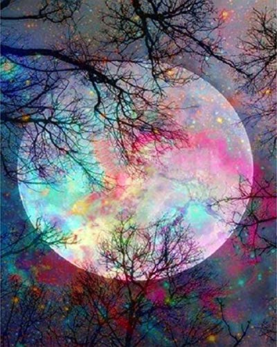 Product Cover 5D Diamond Painting by Number Kit, Bright Moon Full Drill Embroidery Cross Stitch Picture Supplies Arts Craft Wall Sticker Decor 11.8x15.8 inch