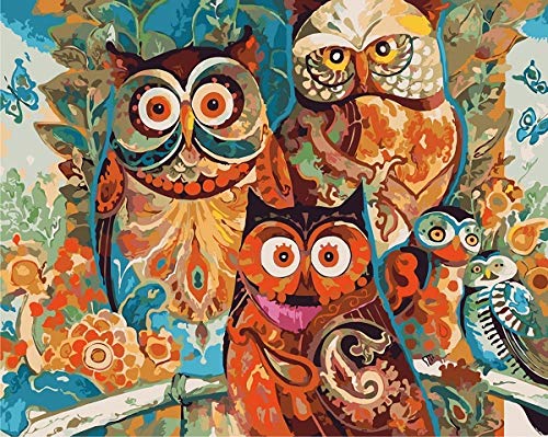 Product Cover Newsight DIY Oil Painting Paintworks Paint by Number for Kids and Adults (16 by 20inch Color Owl)