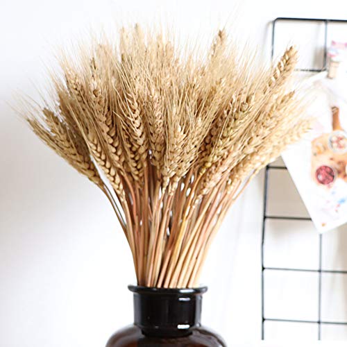 Product Cover Wedding Decorations Dried Wheat Sheaves,100pcs Natural Wheat Bouquet Bunch Stalk Bundle,Bride and Groom Holding Flowers,DIY Home Kitchen Table Wedding Centerpieces (a)