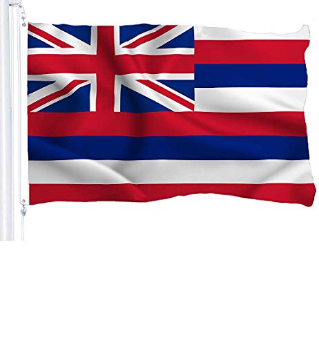 Product Cover G128 - Hawaii State Flag 3x5 ft Printed Brass Grommets 150D Quality Polyester Flag Indoor/Outdoor - Much Thicker and More Durable Than 100D and 75D Polyester