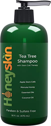 Product Cover Organic Tea Tree Oil Shampoo - Hydrating Dandruff Hair Loss Itchy & Dry Damaged Scalp Treatment - Natural & Organic - Paraben and Sulfate Free - Manuka Honey, Coconut Oil and Stem Cells - 16oz