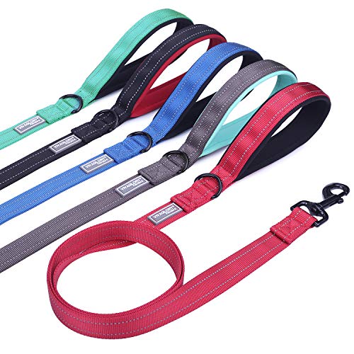 Product Cover Vivaglory Padded Handle Dog Leash, Heavy Duty 4ft Long Reflective Nylon Training Leash Walking Lead for Medium to Large Dogs, Red