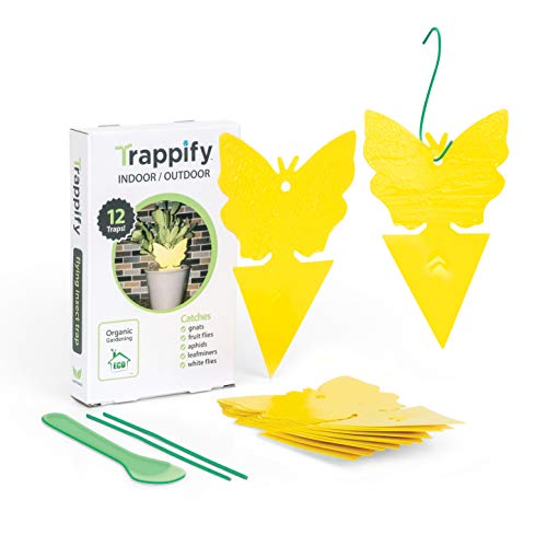 Product Cover Trappify Sticky Fruit Fly and Gnat Trap Yellow Sticky Bug Traps for Indoor/Outdoor Use - Insect Catcher for White Flies, Mosquitos, Fungus Gnats, Flying Insects - Disposable Glue Trappers (12)