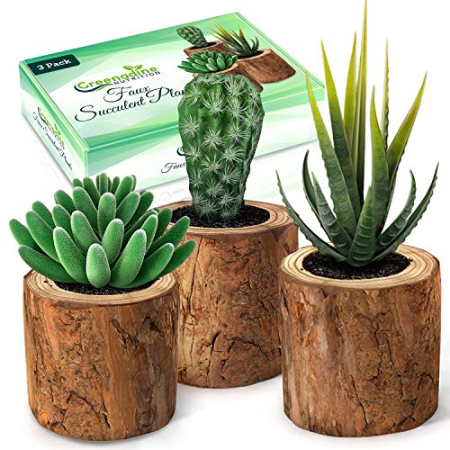 Product Cover Artificial Succulent Plants Potted & Fake Cactus - Set of 3 - Face Succulent Plants in Pots - Feaux Succulent Plants in Pots for Home, Desk, Bedroom, Kitchen, Bathroom, Bookshelf - Office Decorations