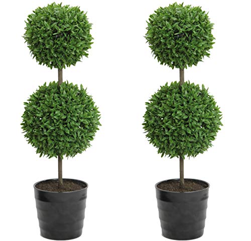 Product Cover Admired By Nature Tabletop English Artificial Boxwood, Twin Pack