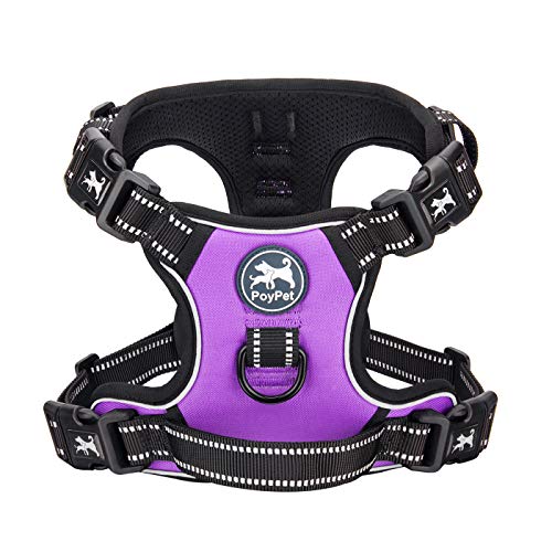 Product Cover PoyPet 2019 Upgraded No Pull Dog Harness with 4 Snap Buckles, Reflective with Front & Back 2 Leash Hooks and an Easy Control Handle [NO Need Go Over Dog's Head](Purple,L)