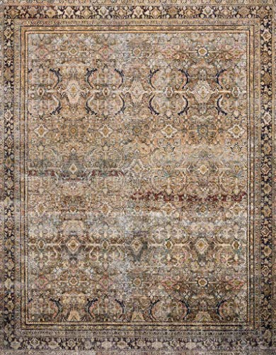 Product Cover Loloi ll Layla Collection Printed Vintage Persian Area Rug 2'0