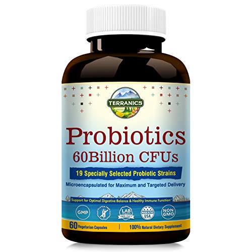 Product Cover Terranics Probiotics with Prebiotics, 60 Billion CFU, 19 Strains, 60 Vegetarian Capsules, Acid & Bile Resistant, Shelf Stable, Supports Digestive& Immune Health, NON-GMO, Soy, Dairy & Gluten Free