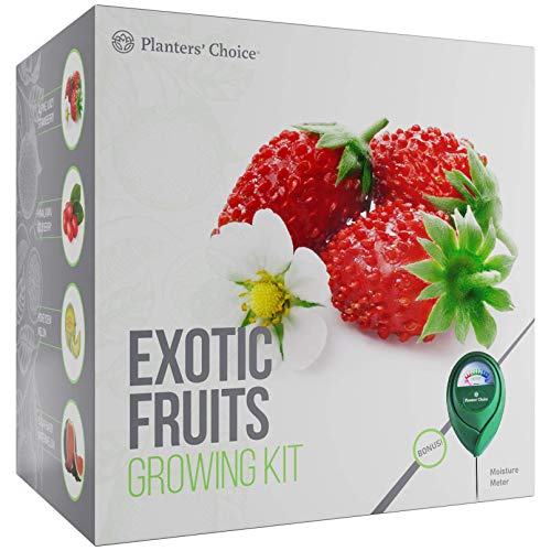 Product Cover Planters' Choice Exotic Fruits Growing Kit - Everything Included to Easily Grow 4 Unique Fruits - Strawberries, Goji Berries, Honeydew, Watermelon + Moisture Meter
