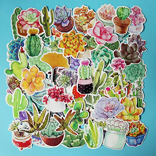 Product Cover Girl Super Cute Watercolor Cactus and Succulent Plants Stickers Water Bottle Skateboard Motorcycle Phone Bicycle Luggage Guitar Bike Sticker Decal 70pcs Pack (Succulent Plants)