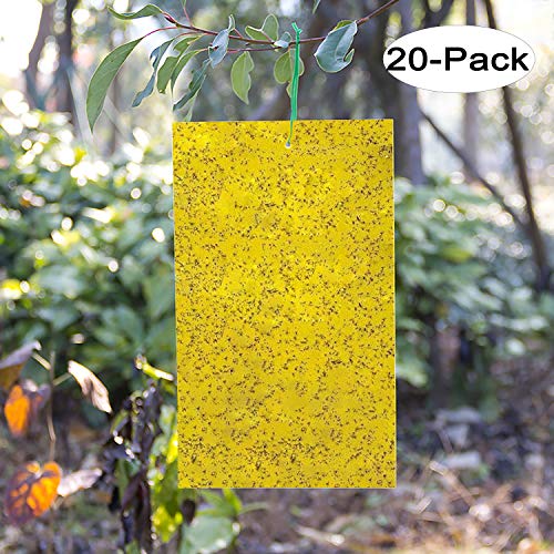 Product Cover Kensizer 20-Pack Dual-Sided Yellow Sticky Traps for Flying Plant Insect Like Fungus Gnats, Whiteflies, Aphids, Leaf Miners, Thrips, Other Flying Plant Insects - 6x8 Inches, Twist Ties Included