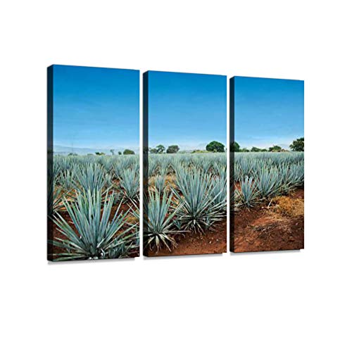 Product Cover Tequila Landscape 3 Pieces Print On Canvas Wall Artwork Modern Photography Home Decor Unique Pattern Stretched and Framed 3 Piece
