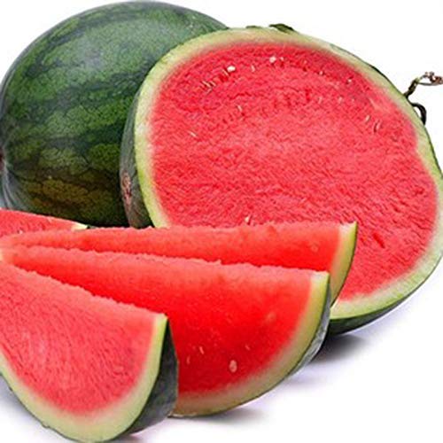 Product Cover 50 seedless Watermelon Seeds Watermelon Seeds Sweet Juice Tasty Growing Set