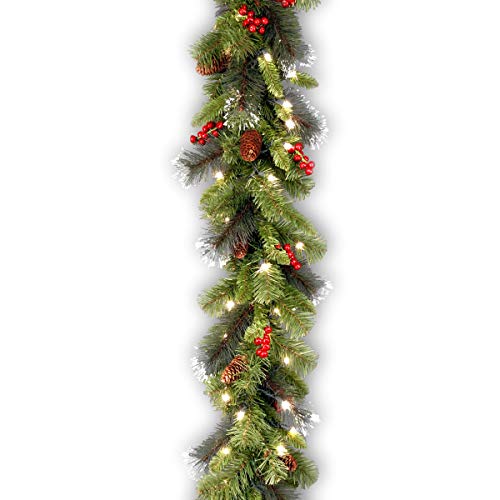 Product Cover National Tree 9 Foot by 10 Inch Crestwood Spruce Garland with Silver Bristle, Cones, Red Berries and 50 Clear Lights (CW7-306-9A-1) (Renewed)